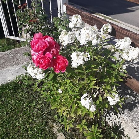 Guesthouse Andrea A Žabljak Kültér fotó